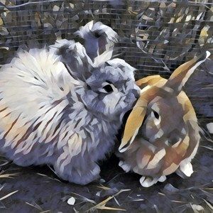 Meet your Posher, Jodi